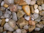 Large Maryland Shore