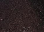 Mushroom Manure
